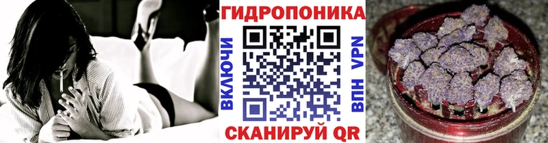 Конопля Amnesia Нижний Ломов